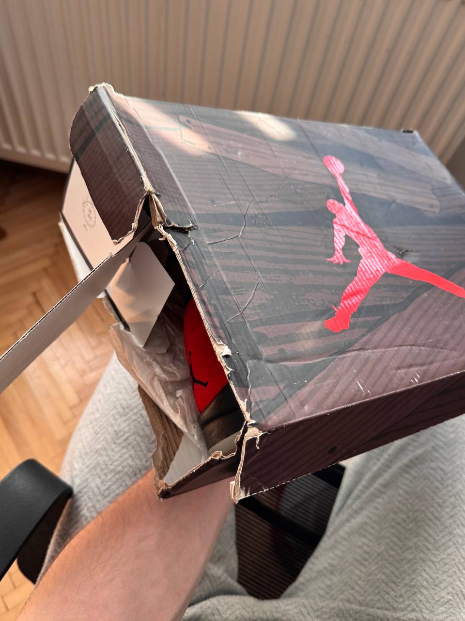 Nike Air Jordan 5 Red Bull