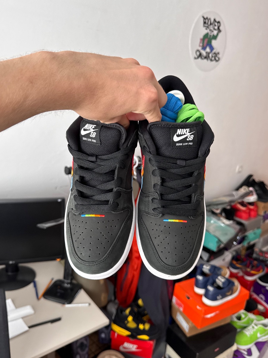 Nike Dunk Sb Low Polaroid