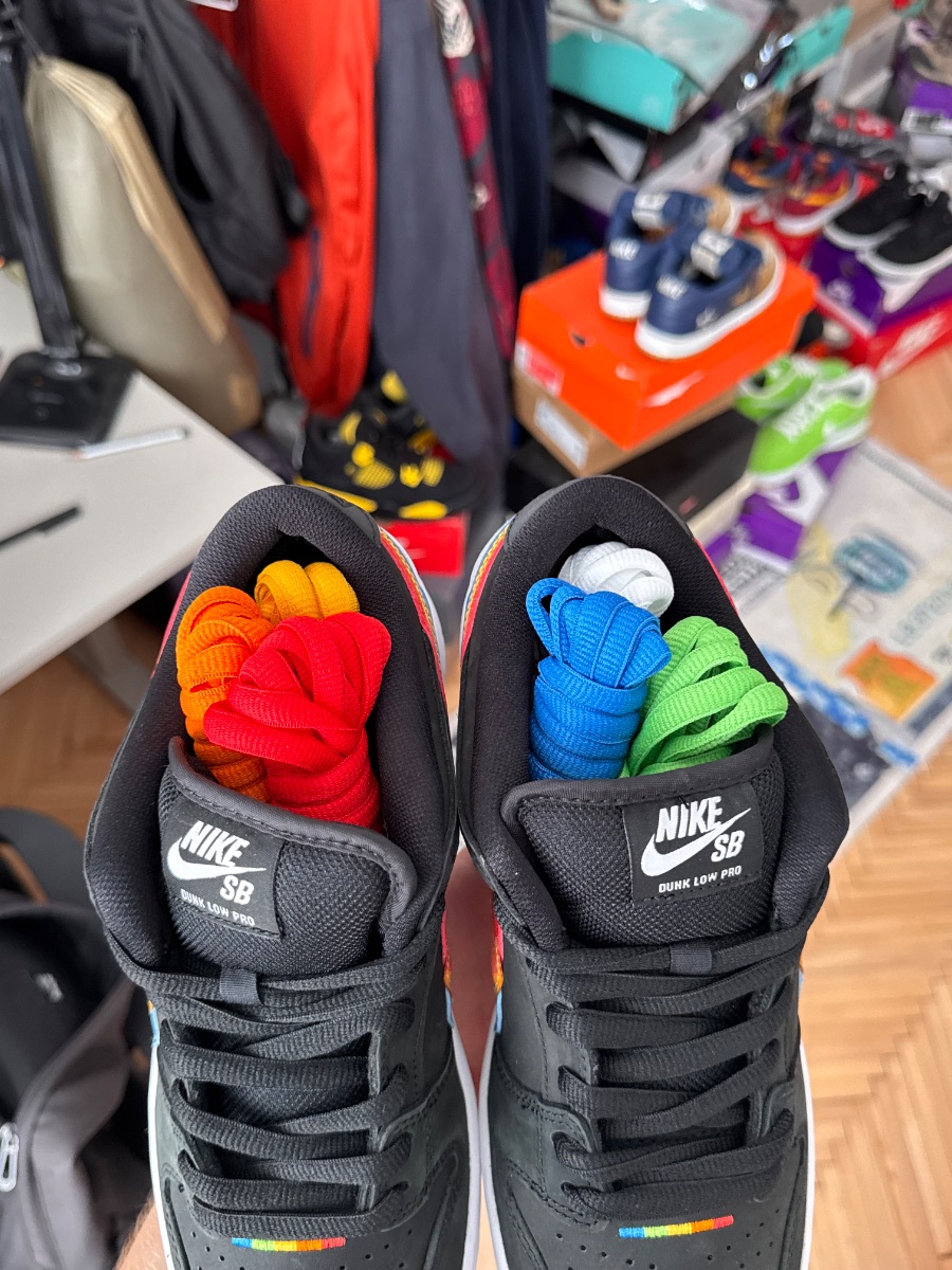 Nike Dunk Sb Low Polaroid