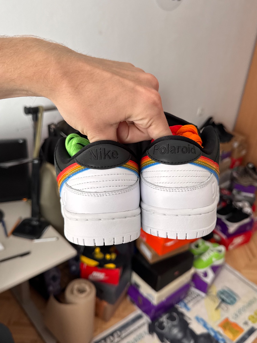 Nike Dunk Sb Low Polaroid
