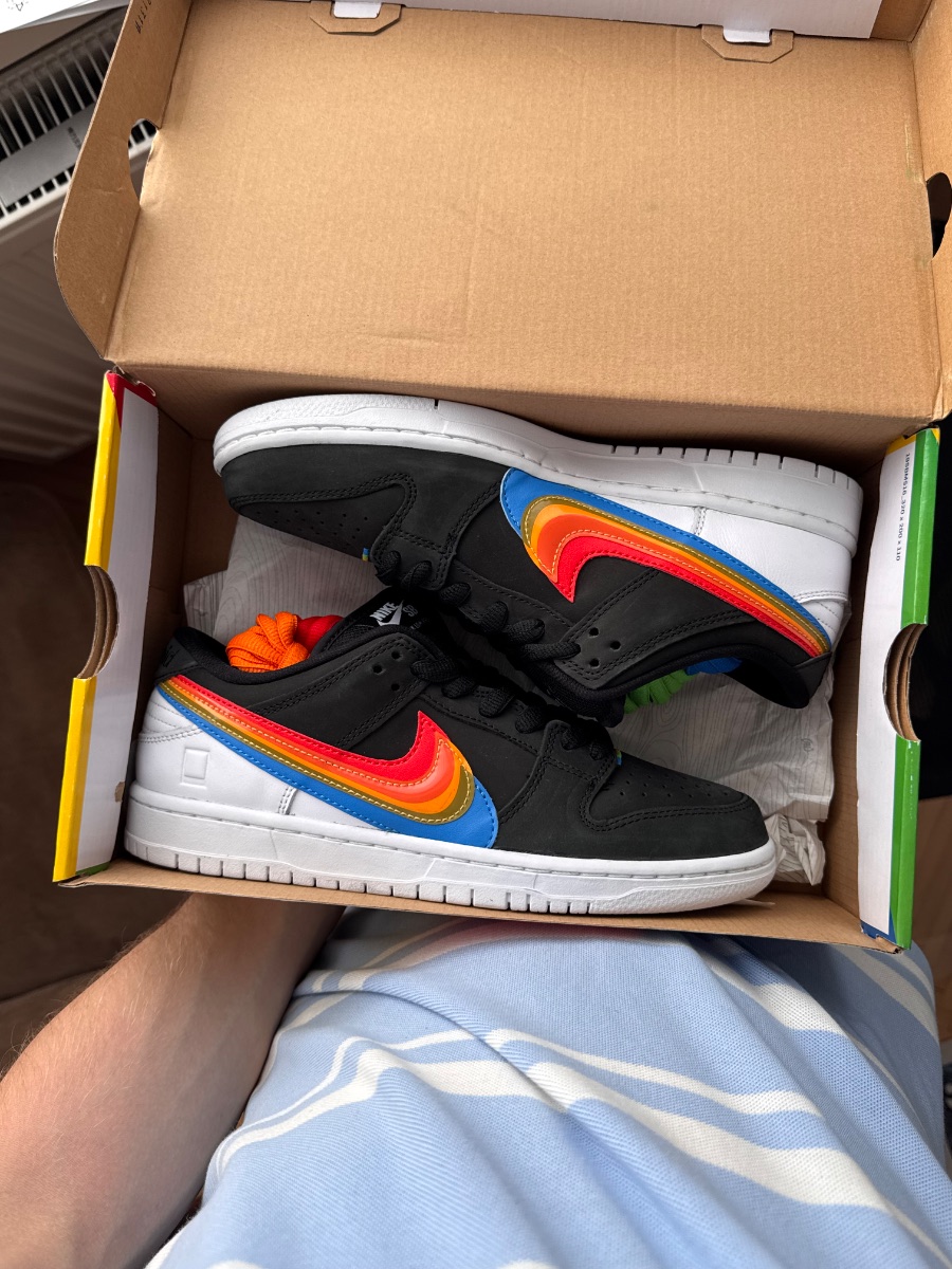 Nike Dunk Sb Low Polaroid