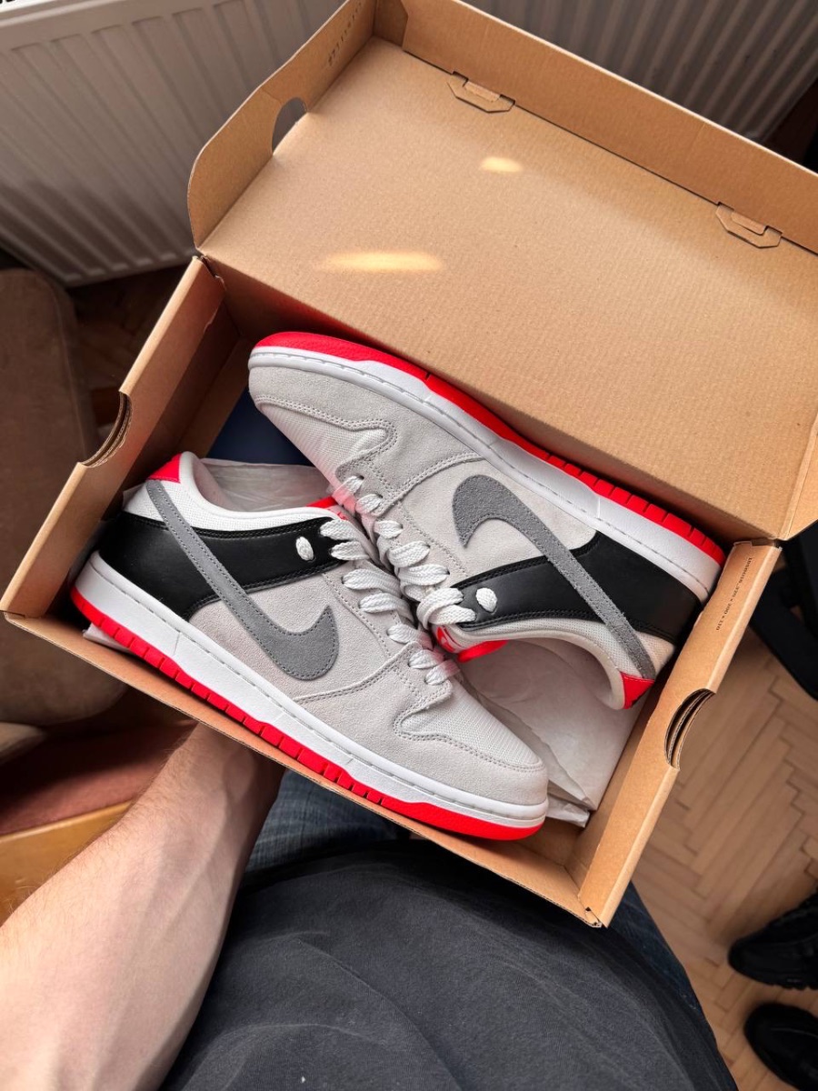 Nike Dunk Sb Low AM90 Infrared