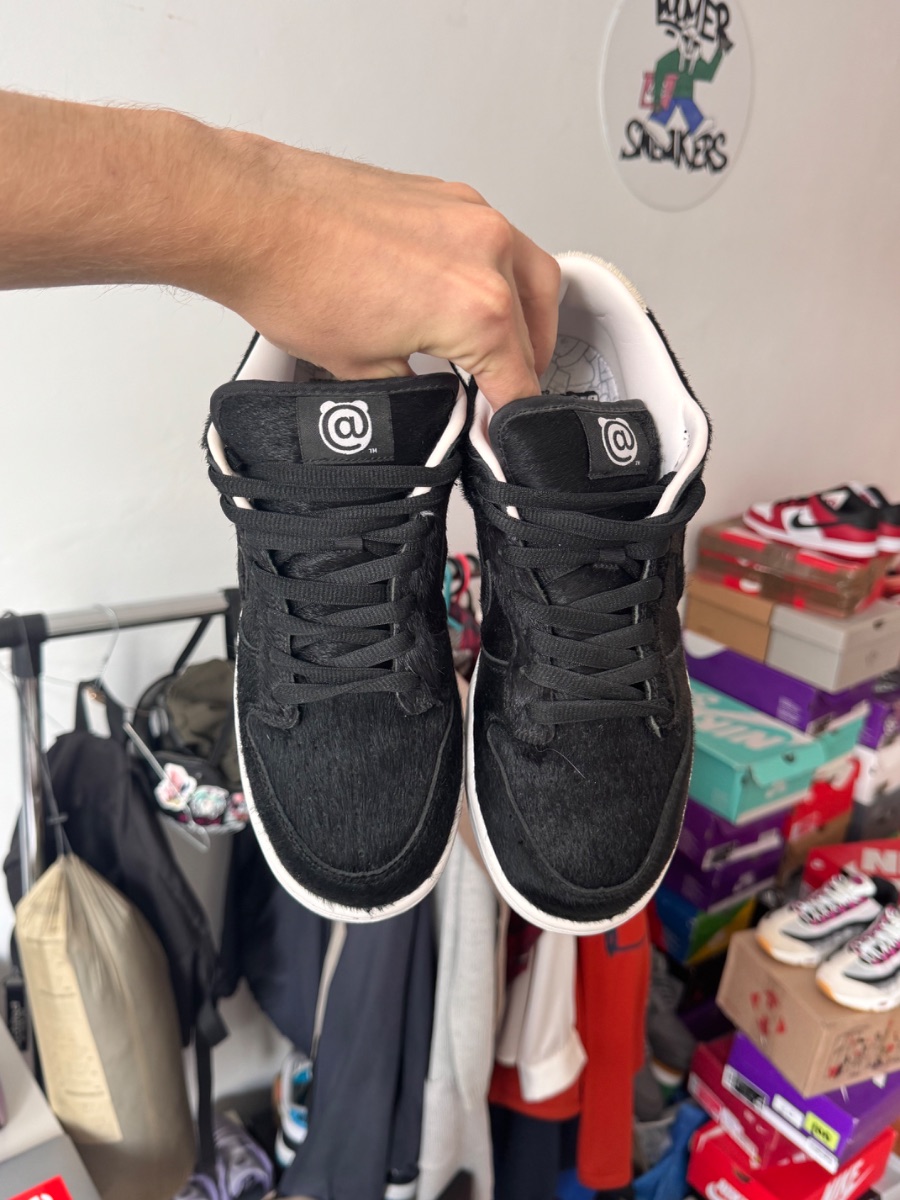 Nike Dunk Sb Low x Be@rbrick