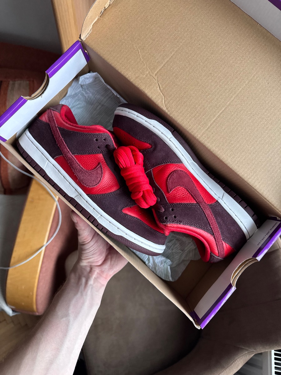 Nike Dunk Sb Low Cherry Red