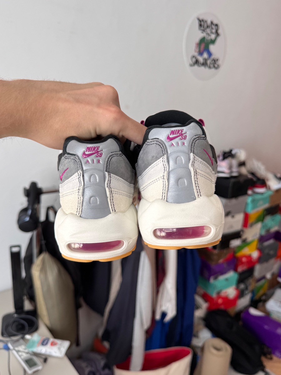 Nike Air Max 95 Sb Cactus Flower