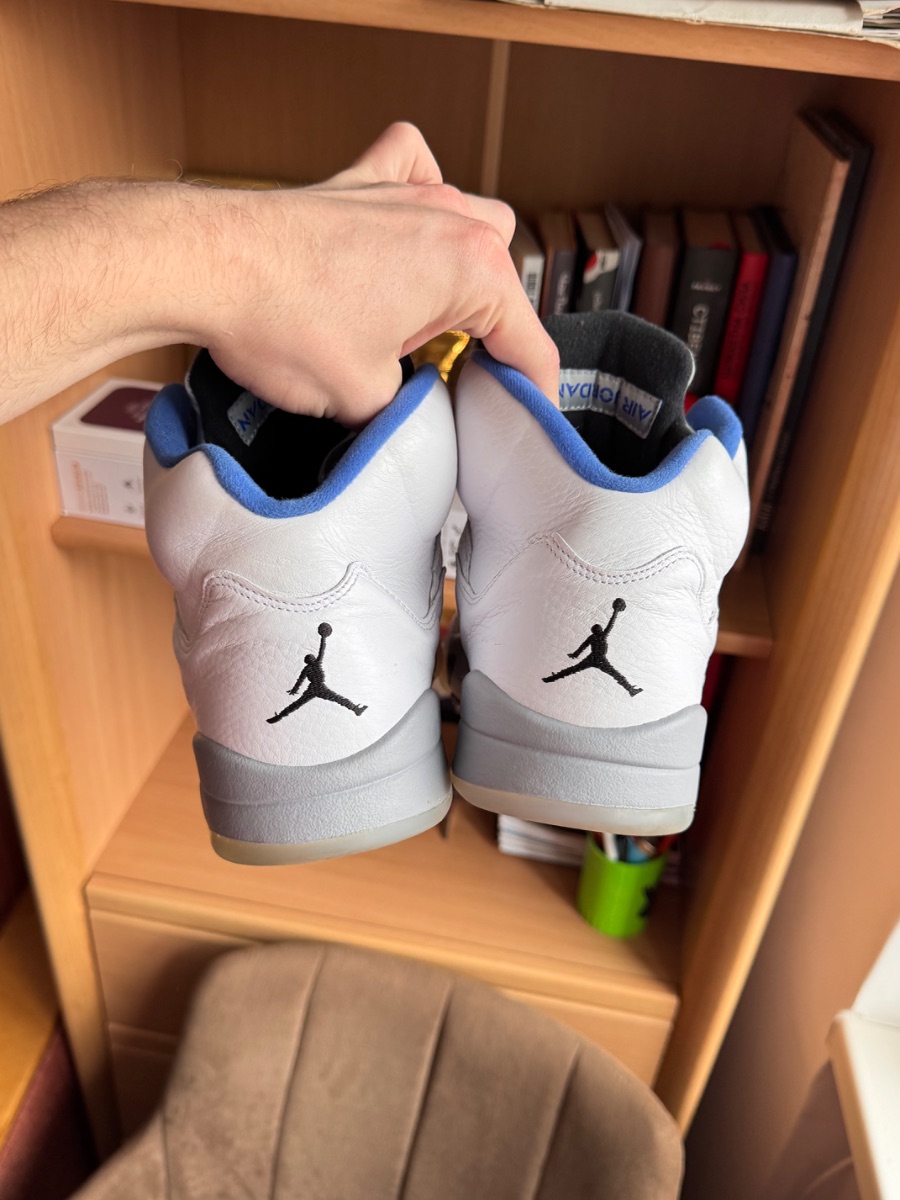 Nike Air Jordan 5 Stealth 2.0
